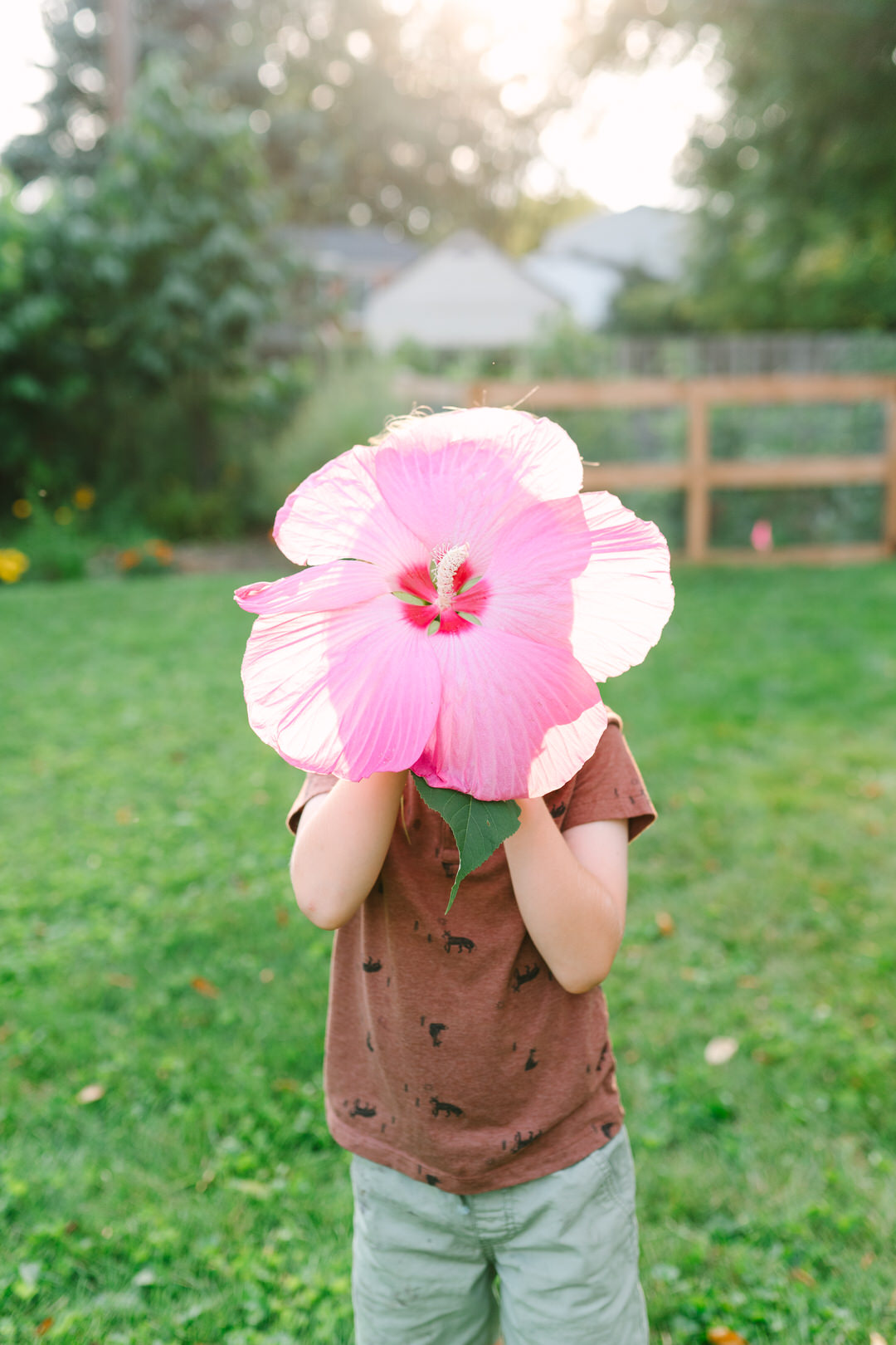 a child holds up a large pink hibiscus flower to hide their face, a candid moment captured by Columbus Ohio lifestyle photographer Daisy Zimmer