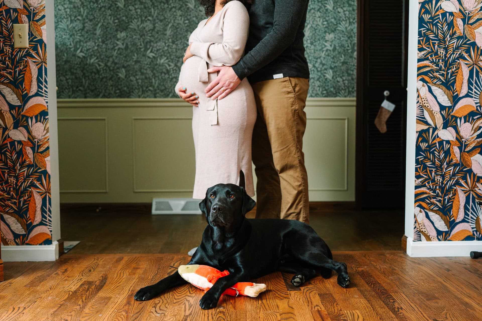 A husband and his pregnant wife pose with their black lab, Bentley, at their feet
