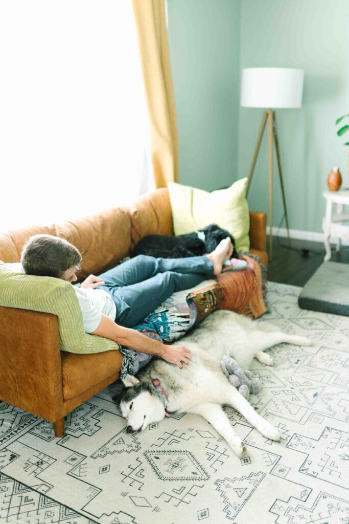 A man on a brown couch pets his white Siberian husky